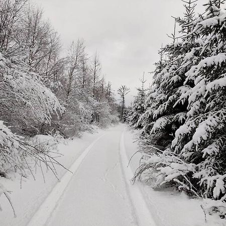 Stuga I Naturskoena Mittskane Хьйор Екстер'єр фото